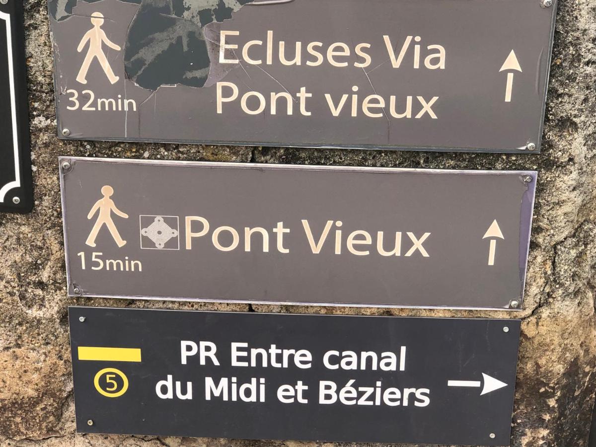 Le Jardin D Eden Apartman Béziers Kültér fotó